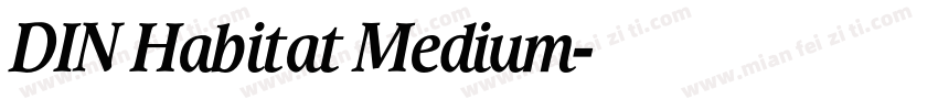 DIN Habitat Medium字体转换